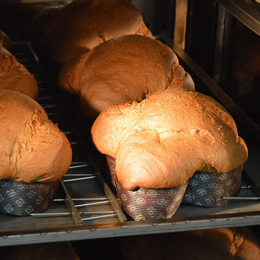 lavorazione artigianale delle colombe di Pasqua Sciara.